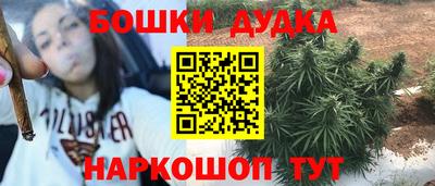 spice Будённовск