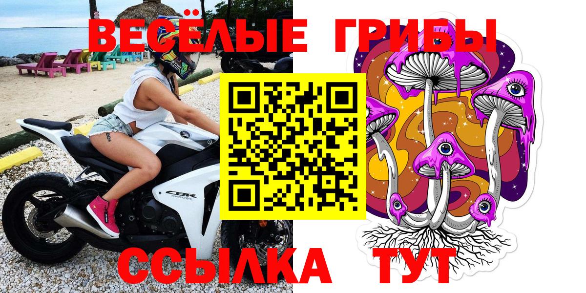 Галлюциногенные грибы мицелий  цена наркотик  Владикавказ 