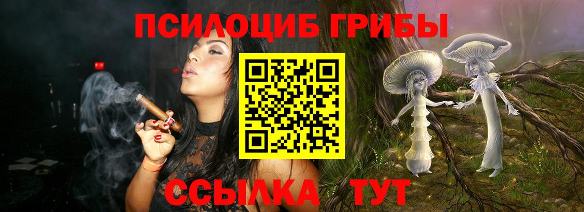 Галлюциногенные грибы Psilocybe Владикавказ